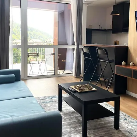 Walter 20 Penthouse W. Private Parking * Sinaia