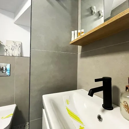 Apartment Walter 20 Penthouse W. Private Parking Sinaia